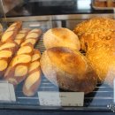 브레드정 j 이미지