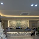 365웰니스의원 | 결혼식 앞두고 옆구리살,팔뚝살 때문에 맞아본 브이올렛 후기(feat.강서구 방화동 비만클리닉)