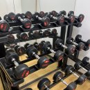 데시앙휘트니스 이미지