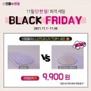 으뜸플러스안경고양