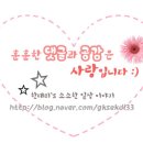 호우양꼬지