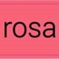 로아나(roana) 이미지