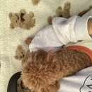송정 덕산아파트 | 지난 일기 10