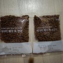 수지에터미