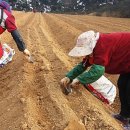 창수농장 이미지