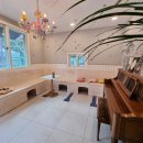 봉봉애견 이미지