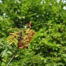 돌모루(어린이공원) 이미지