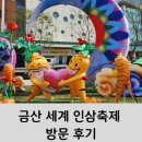 금산 세계 인삼축제 방문 후기