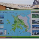 안산갈매기 이미지