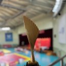 충주태권도 이미지