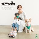 로얄동물메디컬센터w 이미지