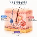 뷰닥 네이버블로그