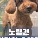 과천우주동물병원 이미지