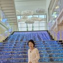 아라나라 이미지