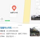 [양산/원동] 부산근교 취사가능 계곡 사지목나무그늘캠핑장