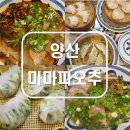 세븐일레븐 양산덕계대승점 | [양산/평산] 마마파오추. 덕계 트레이더스 근처 우육면 &amp; 딤섬 맛집 추천. (메뉴/주차)