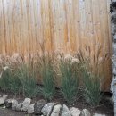 The머물다펜션 이미지