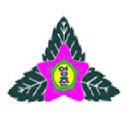 영춘초등학교 이미지