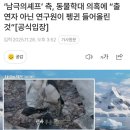 ‘남극의셰프’ 측, 동물학대 의혹에 “출연자 아닌 연구원이 펭귄 들어올린 것”[공식입장] 이미지