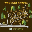 서귀포자연휴양림야영장 이미지