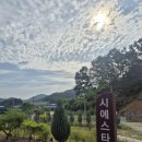 시에스타 펜션 | 대전 가성비 갑!! 시에스타 펜션 솔직 후기