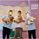 놀러왔댕 이미지