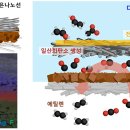골프PC(인-264) 이미지