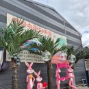 칠산말마을안길 | 인천 서구 아이랑 가볼만한곳｜야자수판다마을 실내캠핑 수영장 후기