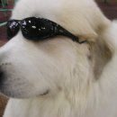 JJ 당구장 이미지