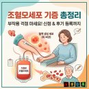 한국저탄소식생활협회 | 조혈모세포 기증 부작용은? 조혈모세포 기증 이식 후기 등록 방법까지 총정리