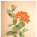 보태니컬아트 이미지