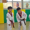 전진태권도 이미지