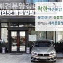 착한애견분양강아지수원광교