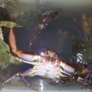 해양펜션 이미지