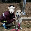 말랑말랑 이미지