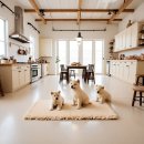 신원 건강랜드 | 별내 강아지입양 예산별로 완벽하게 준비하는 법