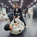 용인대 일산유도 체육관 이미지