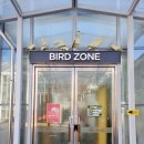 정원초등학교 이미지