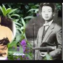 민족의 노래 [봉선화]-김천애(1940년 녹음) 이미지