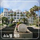 (주)대명소노시즌 굿앤굿스마트 | 제주 북동쪽 숙소 함덕해수욕장 근처 소노벨 리조트 스위트 취사 스탠다드 숙박 후기