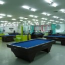 쫑생쫑사 이미지