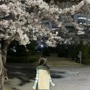 옴서감서 이미지