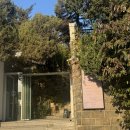 (주)전원인삼당제약 | 동인천역 단독 주택 감성의 예쁜 카페, 책읽기 좋은, 독서모임하기 좋은 카페 보눔 방문후기