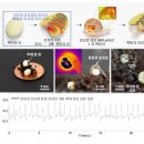 B&M 소프트 이미지