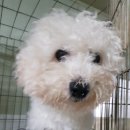 비전5로 이미지