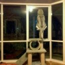 허숙희네 이미지