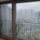 대신푸르지오 2차 | 부산 서구 이사청소 대신2차 푸르지오