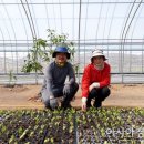 (주)그라비올라하우스