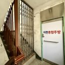 전원사주 | 춘민철학원 사주 후기 1편
