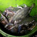 엔젤여인숙 이미지